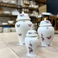 جینجر ب قیمت تولیدی|ظروف سرو و پذیرایی|پاکدشت, پاکدشت (مامازند)|دیوار