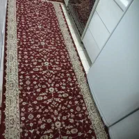 کناره زرشکی