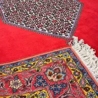 فرش دستبافت زنجان|فرش|زنجان, |دیوار