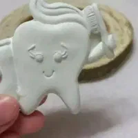 بیس خام دندونی