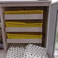 دستگاه جوجه کشی|ماشینآلات صنعتی|کازرون, |دیوار