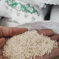 برنج طارم به قیمت  فریدونکنار|حراج|مشهد, پنجتن|دیوار