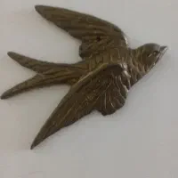 پرنده