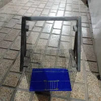 قفس