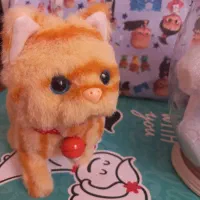 اسباب‌بازی نو ارزون