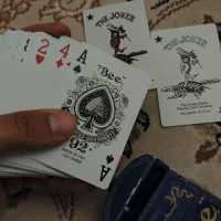 پاسور درجه یک آمریکایی Bee در حد نو