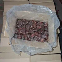 خرما|خوردنی و آشامیدنی|بوشهر, |دیوار