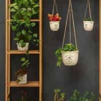 آویز لباس|کتابخانه، شلف، قفسه‌های دیواری|اردبیل, |دیوار