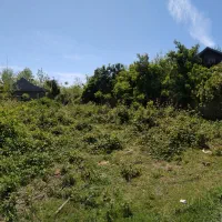 ۲۵۰ متر زمین مسکونی