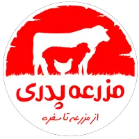 استخدام حسابدار باسابقه