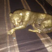 فروشی پلنگ تزبینی