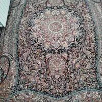 فرش|فرش|سقز, |دیوار