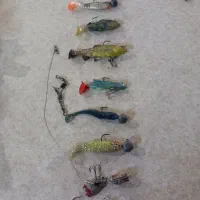 لنسر اسپین|ماهیگیری|سهند, |دیوار