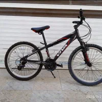 دوچرخه ویوا حرفه‌ی ۲۴