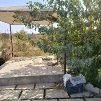 باغ با درخت قدیمی سند دار جیتو تبرئه کشاورزی|فروش خانه و ویلا|پاکدشت, پاکدشت (مامازند)|دیوار