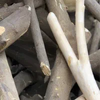 خریدار چوب مرکبات به قیمت