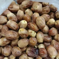 قصب درجه یک دانه درشت و تازه