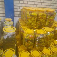 انواع ترشیجات وسرکه