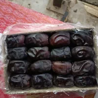 خرید فروش خرما مضافتی