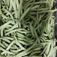 لوبیا سبز تازه
