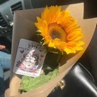 دوربین عکاسی و فیلم برداری