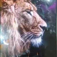 گوشی pocox7 pro|موبایل|خمینی‌شهر, |دیوار