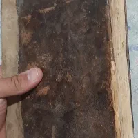 نسخه خطی نفیس قاجاری (تک نسخه)|کلکسیون اشیاء عتیقه|تبریز, |دیوار