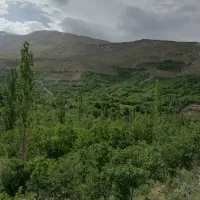 باغ سیب رد و گلدن روستای خفر