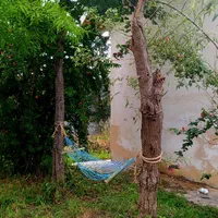 اجاره ویلا باغ دربستی نزدیک رشت و انزلی|اجارهٔ کوتاه‌مدت ویلا و باغ|رشت, گلسار|دیوار