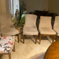 میز ناهارخوری ۸ نفره|میز و صندلی غذاخوری|تهران, اوین|دیوار