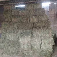 یک تن جو یک تن یونجه