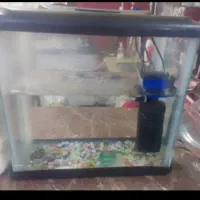 آکواریوم با وسایل