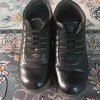 دوجفت کفش مجلسی ویک جفت نیم پوت زنانه|کیف، کفش، کمربند|تربت‌حیدریه, مظفریه|دیوار