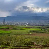 یک هکتار زمین دارم