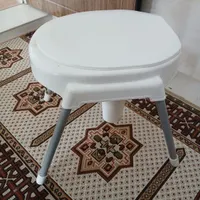 توالت فرنگی