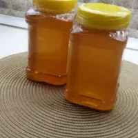 فروش عمده عسل طبیعی لرستان تضمینی