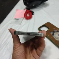 اپل iPhone 15 Pro Max با حافظهٔ ۲۵۶ گیگابایت|موبایل|بندرعباس, |دیوار