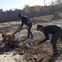 باغبانی و  هرس کاری، سمپاشی،  تیلر زنی گلکاری