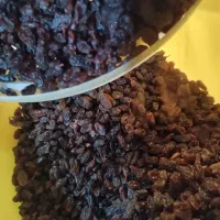 کشمش بی دانه|خوردنی و آشامیدنی|نوشین شهر, |دیوار