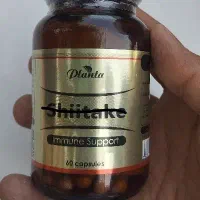 شیتاکه اصلی