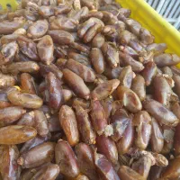خرمای شاهونی ۱۵۰ کیلو