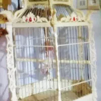 قفس طرح اژدها
