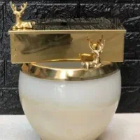 جاسطل و دستمال کاغذی