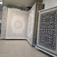 گالری فرش افشار|فرش|زنجان, |دیوار