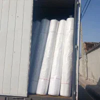 استخدام نیرو