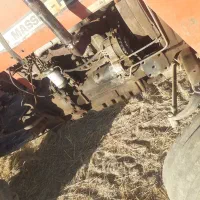 فرگوسن.بشرط.سالم