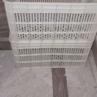 سبد مرغی حدود ۱۷ عدد