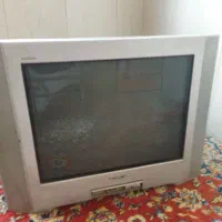 تلوزیون