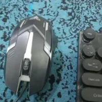 موس و کیبرد سالم|قطعات و لوازم جانبی رایانه|قم, علی آباد|دیوار