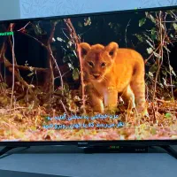 نصاب آنتن نصب و تنظیم گیرنده هوایی و تلویزیون|خدمات پیشه و مهارت|جیرفت, |دیوار